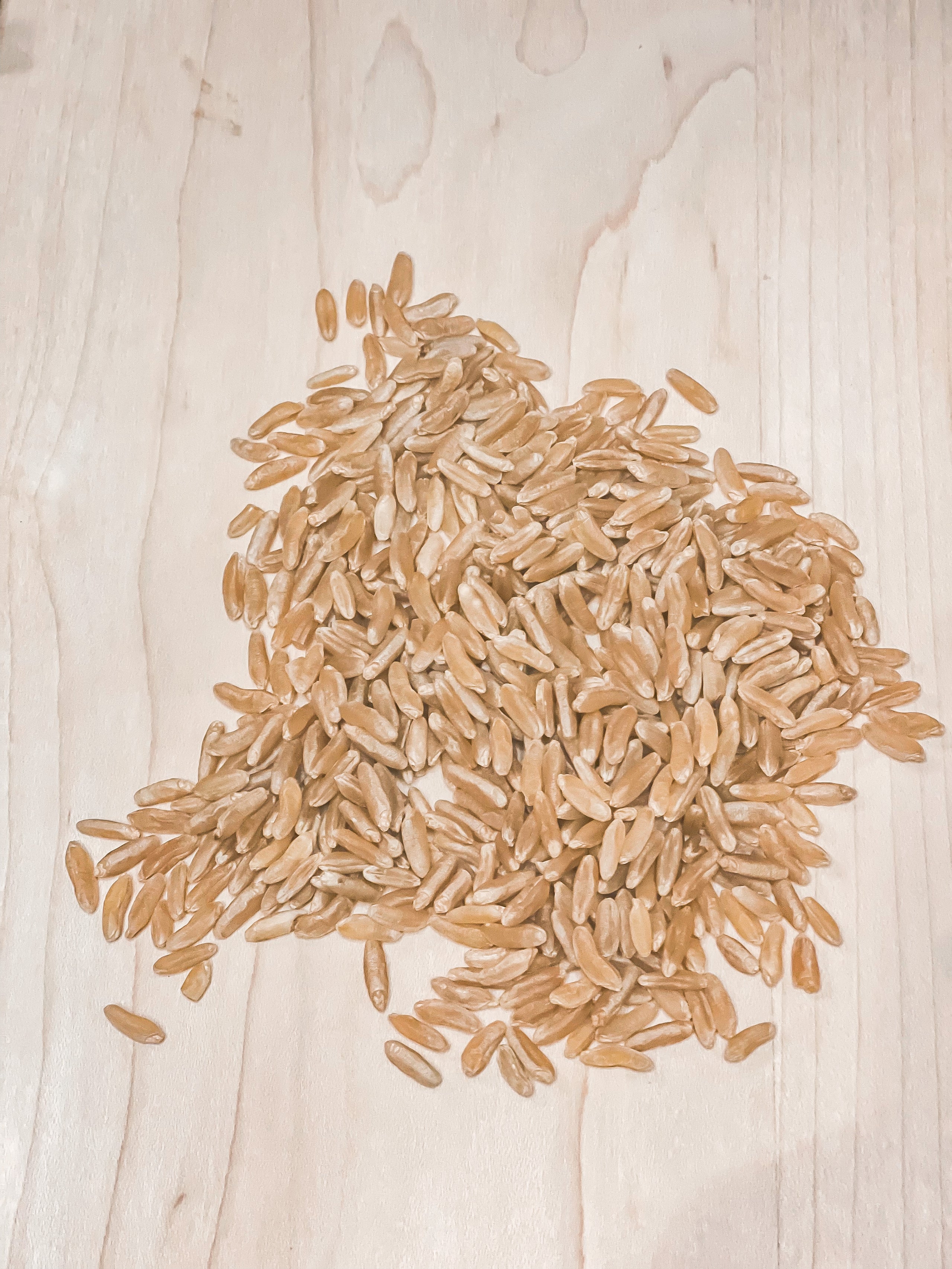 Organic Khorasan or KAMUT Wheat Berries Copper Barn Farm
